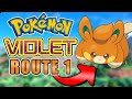 Pokemon Violet Hardcore Nuzlocke but I Can Only Use Route 1 Pokemon!