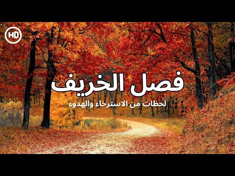 فصل الخريف رحلة خريفية هادئة مع موسيقى الاسترخاء 