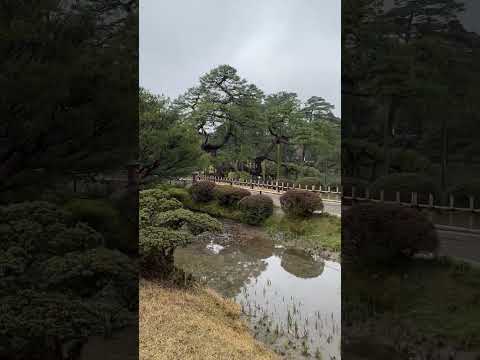 Прогулка по саду Kenrokuen 🌿 Спокойствие и красота Вы бы добавили такую эстетику в свой сад?