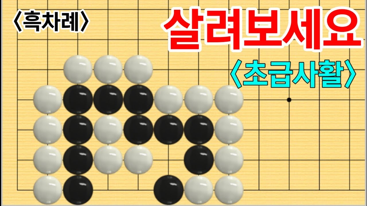 초급사활 (8문제) #1