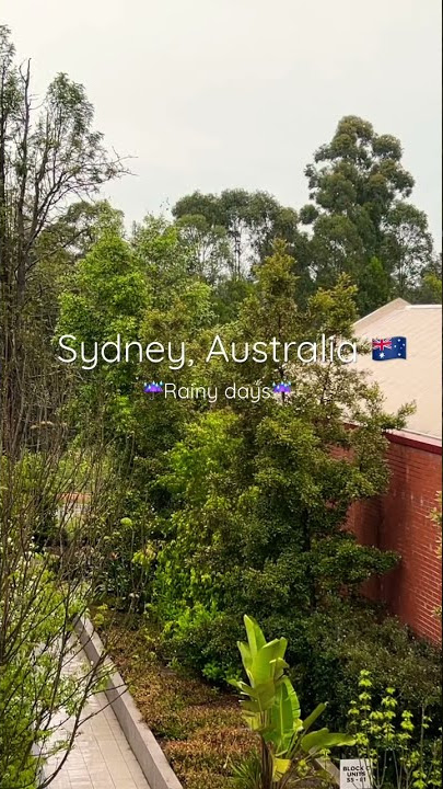 Rainy days in Sydney, Australia ☔️🇦🇺 #shorts #rain