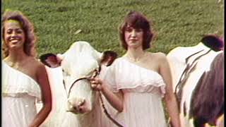 Cow Photographer - American Story with Bob Dotson