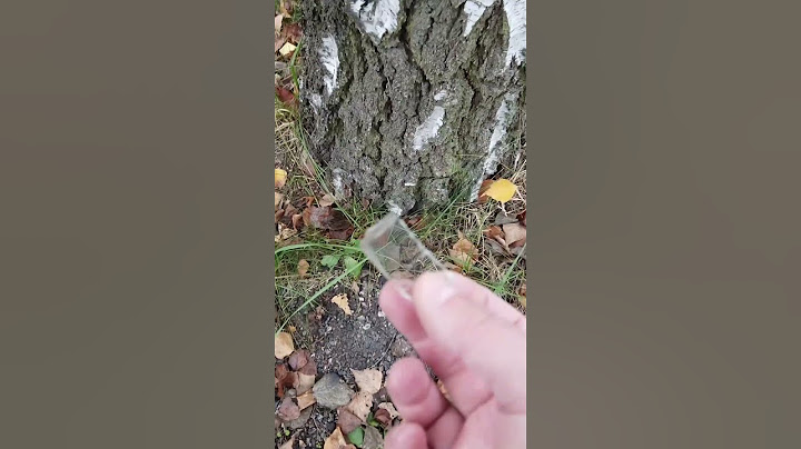 Alternatywne metody korzystania z krzesiwa 🔥 #bushcraft #przetrwanie #DIY