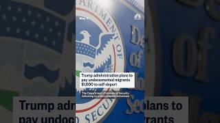 Trump administration plans to pay undocumented migrants $1,000 to self-deport
