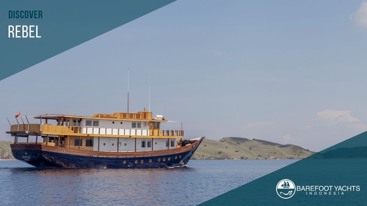 ⁣Rebel  - Luxury Yacht