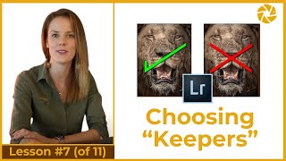 Lightroom For Wildlife Photography | CHOOSING your KEEPERS!