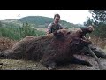 guzel bır domuz avı 2020 wild boar hunting