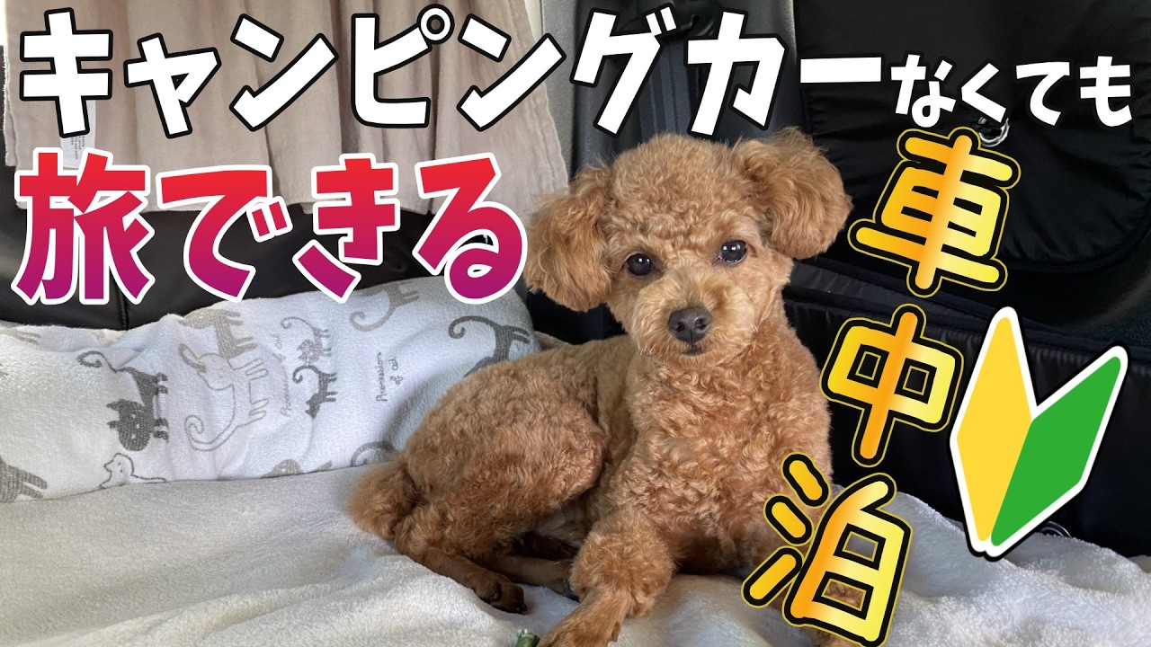 アラサー女｜犬猫と初めての北海道｜食べて遊んで大満足した1日！紋別編【アラサー女が猫犬と車中泊】