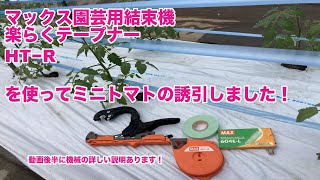 【阿南農園】マックス園芸用結束機楽らくテープナーHT−R　を使ってミニトマトの誘引しました！