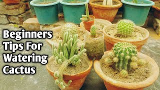 When To Water Your Cactus Plant || Golden Rule For Watering Cactus [ English Subtitle]