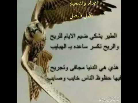 يقول المغترب مافيش داعي