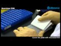 Real-time PCR