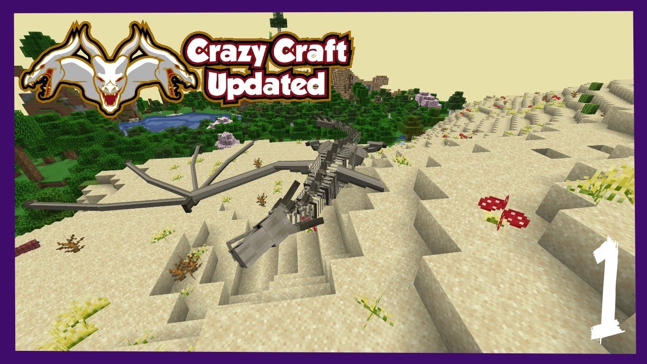Crazy Craft Is Crazy || Crazy Chaos Smp || Ep 1