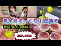 イチジク食レポ】青皮& Sumakiで入手した品種を収穫！見た目は似てる