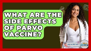 What Are The Side Effects Of Parvo Vaccine - Ask A Pet Vet