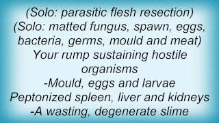 Carcass - Cadaveric Incubator Of Endo Parasites Lyrics