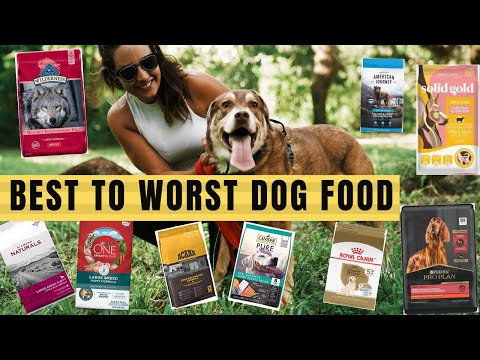 Video: Diamond Naturals Dog Food Recalled