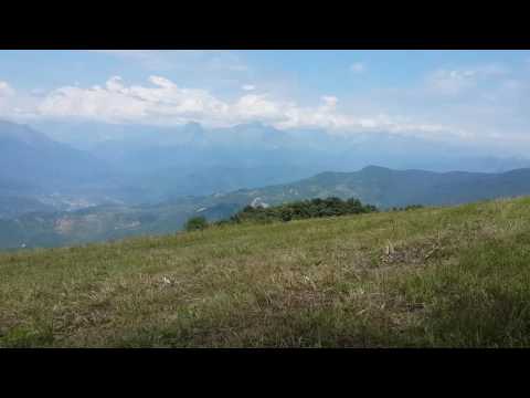 Mravaldzali / მრავალძალი