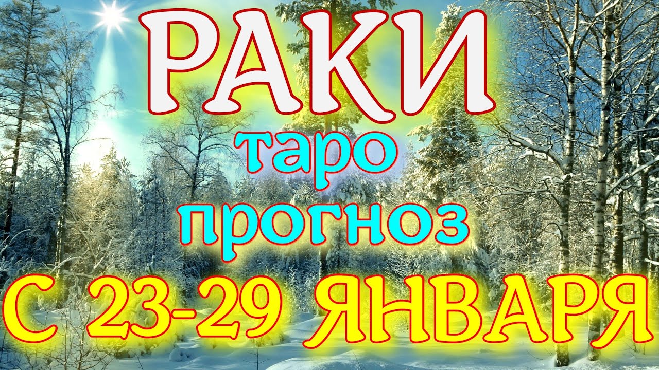 Гороскоп На 19 Февраля 2023 Рыбы