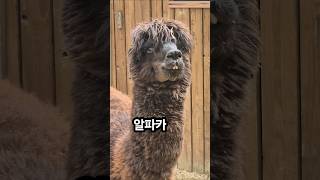 에버랜드 영상