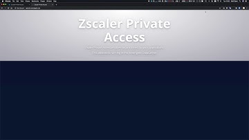 Zscaler Private Access - Troubleshooting