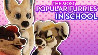 The Most Popular Furries in School