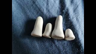 A Random Season 1 Or 2 Episode Of Super Ancient Zingzillas