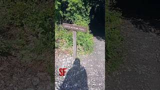 TERRIFYING ENCOUNTER on the Appalachian Trail!? 😱 #scary #shorts #ghost