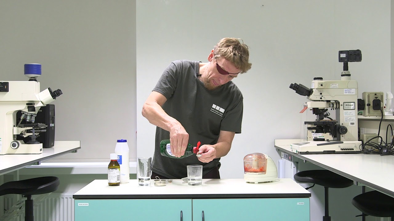 How to extract DNA from tomatoes Norwich Science Festival YouTube
