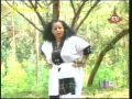 Lalu Bel NEW Hot Bahilawi Video By Amsal Miteke Flv Lalu Bel NEW Hot Bahilawi Video By Amsal Miteke Flv