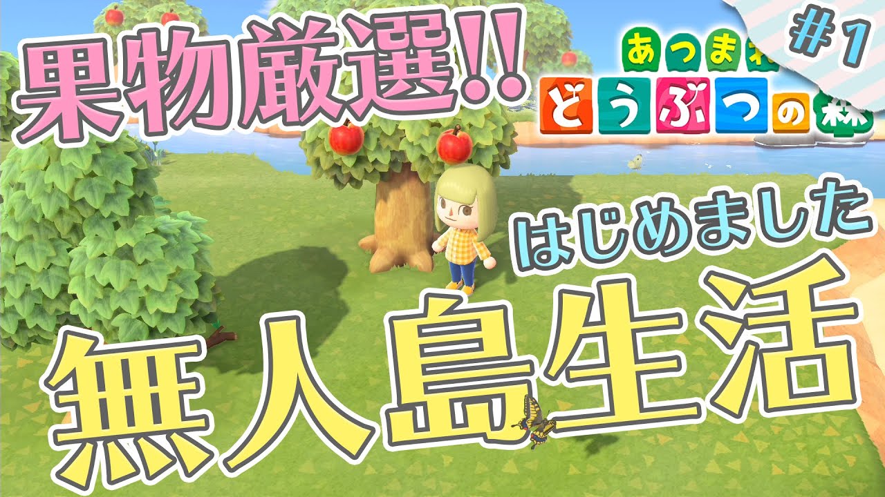 あつ森 アプデ当日レイジが来ない ５倍は１日に何回でるのか検証してみた まったり実況 あつまれどうぶつの森 7 Youtube