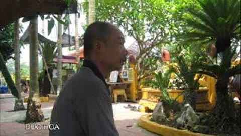 Nguyễn Đức Cần