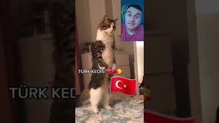 Bu Kedi Bir Türk Askeri???