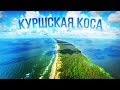 Куршская Коса – ей владеют Россия и Литва вместе! Как выглядит лучший пляж страны и худшая гостиница