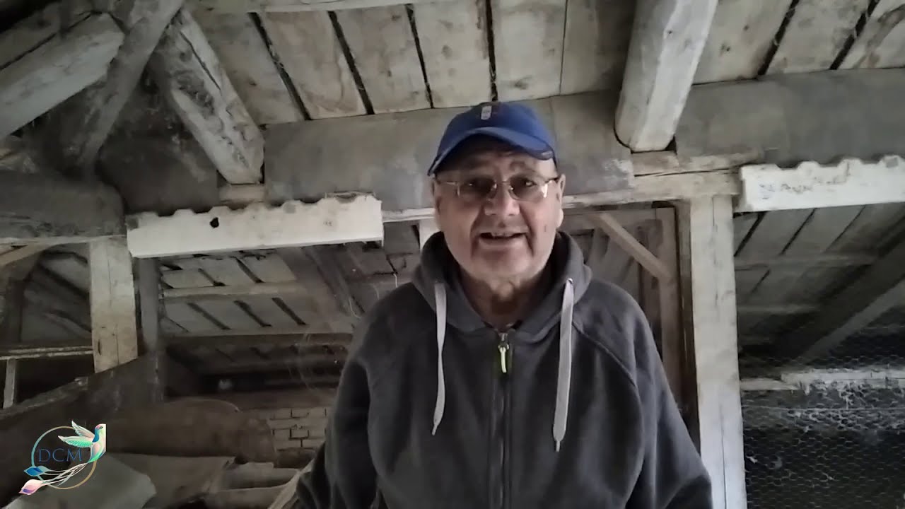 In vizita la dmn. Costel Burghelea, Zburatori baltati pe vanat de Galati