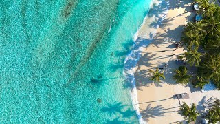 Bright Sea Rhythm – Energetic Bossa Nova That Blends Happiness, Waves, and Warmth