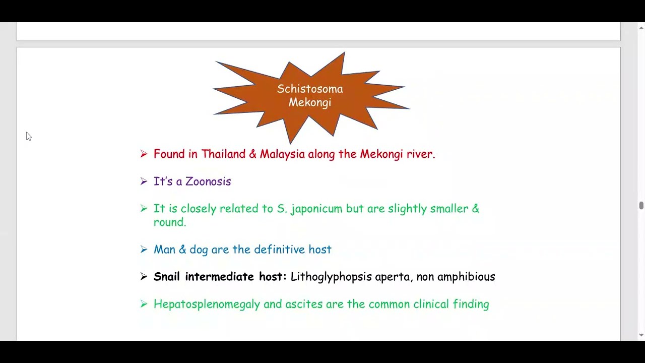 Schistosoma mekongi and  intercalatum|| parasitology 