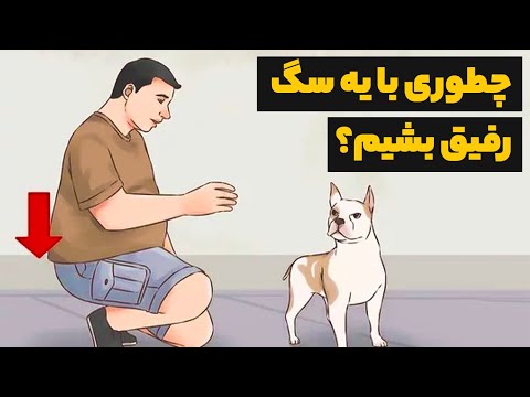 تصویری: ارتباط سگ ها چگونه کار می کنند؟