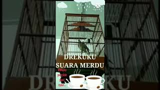 Drekuku Suara Merdu Luar Biasa, Bikin Burung Yang Lain Jadi Gacoor...