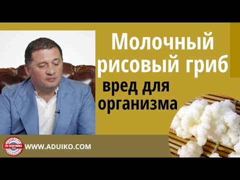 молочний гриб: корисні властивості та протипоказання для організму