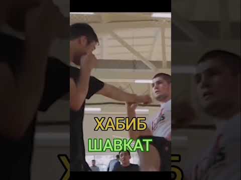 Video: Пейдж канча жашта?