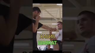 Шавкат Рахмонов тренируется с Хабибом Нурмагомедовым 🔥🔥🔥