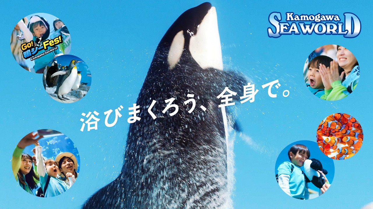 夏の新CM放送記念 SNSキャンペーン開催！！｜鴨川シーワールド-東京