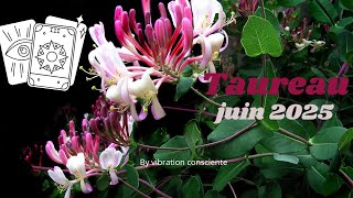 Juin 2025, TAUREAU : ritualiser votre vie pour qu'elle est d'avantage de saveur!