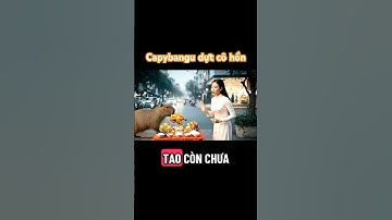 Capybangu dựt cô hồn #ai #funnyvideo #haihuoc #veo3 #funny #capybara