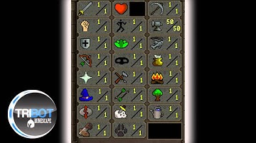 TRiBot Premium Cracked - Working on 01-12-13 [DOWNLOAD NOW]