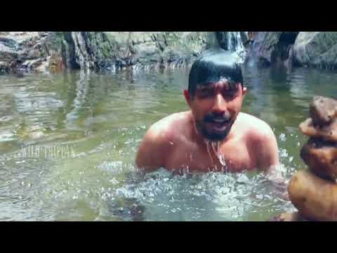 അഗസ്ത്യാർകൂടത്തിലേക്ക് എങ്ങനെ പോകാം Agasthyarkoodam trekking part 1