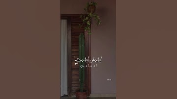 تأملوا الآيات   #ابراهيم محمد #قران #اكسبلور #قران_كريم #quran #explore #تلاوة #explorepage