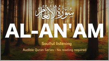 Heart touching Surah Al An'am سورة الأنعام Complete English Audio Translation #alanaam #surahanaam
