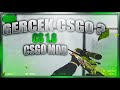 GERÇEK CSGO BU ?!? - YENİ AİM VE FPS CONFİGİM ?!?! - CS 1.6 CSGO MOD